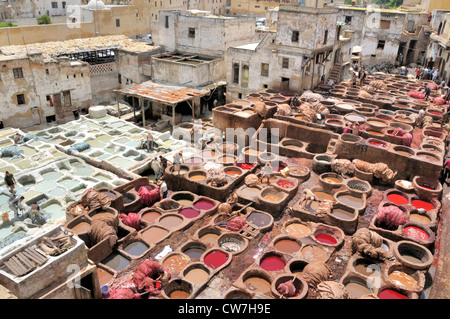 tanners' and dyers' quarter chouwara, Morocco, Fes Stock Photo