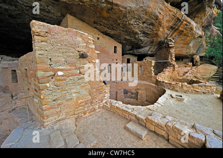 Spruce Tree House, cliff dwellings of Ancient Puebloan Native Americans, USA, Colorado, Mesa Verde National Park Stock Photo