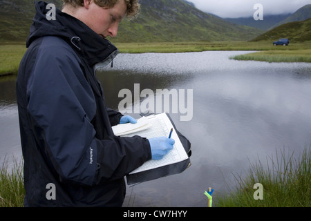 European water vole, northern water vole (Arvicola terrestris), Researcher records field notes on upland water vole as part of Cairngorms Water Vole Conservation Project, United Kingdom, Scotland Stock Photo