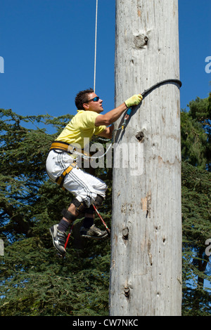 Welsh Open Speed Pole Climbing contestant, Royal Welsh Show 2012, Llanelwedd Builth Wells Wales. Stock Photo