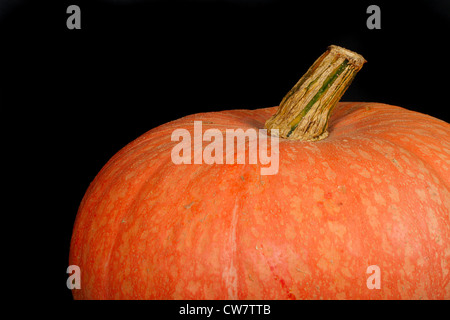 Halloween's orange pumpkin photo on the black background Stock Photo ...