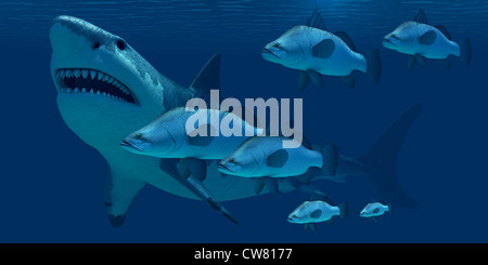 A school of ocean fish encounter a monstrous Megalodon shark in prehistoric times. Stock Photo