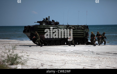 A U.S. Marine Corps amphibious assault vehicle with Security Cooperation Task Force Africa Partnership Station 2012 unloads Romanian Marines from the 307th Naval Infantry Battalion during a beach assault in Capu Midia, Romania, Aug. 12, 2012. The beach assault was the final event of Exercise Summer Storm 12. Stock Photo