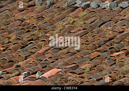Tiled roof on old barn. Picos de Europa, Spain Stock Photo