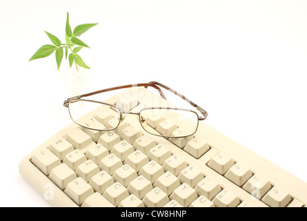Glasses by man over a keyboard of personal computers, small plant on the left inside inkwell glass. Stock Photo