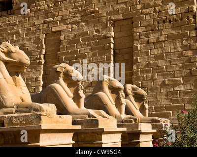 Avenue of Rams at the Ancient Temple Complex of Karnak near Luxor in the Nile Valley in Egypt Stock Photo