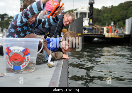 Crabbing at Fowey harbour in Cornwall, England, Uk Stock Photo