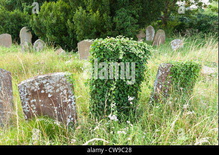 hidden graveyard left to play out natural wildlife colonization for a new habitat and so reduce maintenance costs of parish Stock Photo