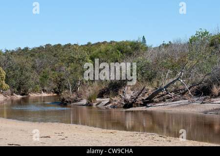 Steamers creek Queensland - Stumers Creek on the Sunshine coast in Queensland Australia