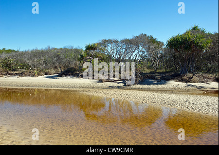 Steamers Creek Queensland - Stumers Creek on the Sunshine coast in Queensland, Australia.
