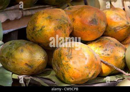 Myanmar, Burma. Papayas. Stock Photo