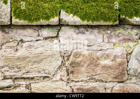 Closeup old medieval mossy wall Stock Photo