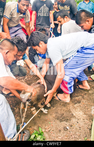 Hari Raya Aidiladha or hari raya haji, is an important religious festival for muslims. Photo taken 6 Nov, 2012 at Malaysia. Stock Photo