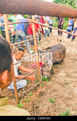 Hari Raya Aidiladha or hari raya haji, is an important religious festival for muslims. Photo taken 6 Nov, 2012 at Malaysia. Stock Photo