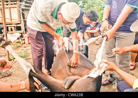 Hari Raya Aidiladha or hari raya haji, is an important religious festival for muslims. Photo taken 6 Nov, 2012 at Malaysia. Stock Photo