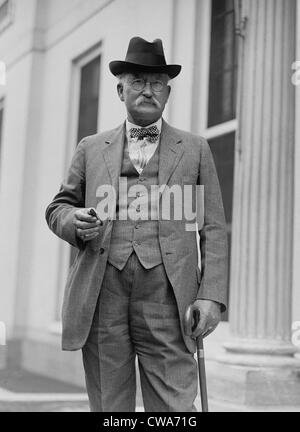 Albert B. Fall (1861-1944), Secretary Of The Interior Under The Stock ...