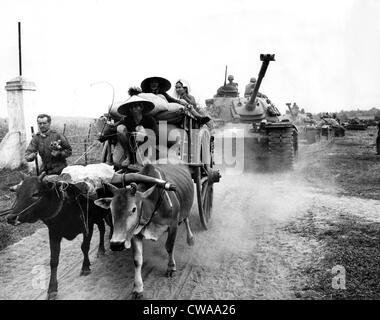U.S. Tanks behind a South Vietnamese ox cart, Trung Lap, South Vietnam, January 17, 1966. Courtesy: CSU Archives/Everett Stock Photo