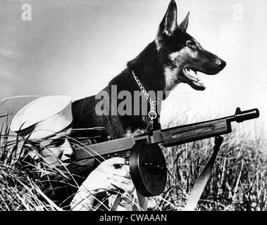 were german shepherds used in ww2