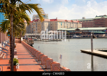 Tampa Convention Center and Harbour Island, in Tampa, Florida, USA Stock Photo