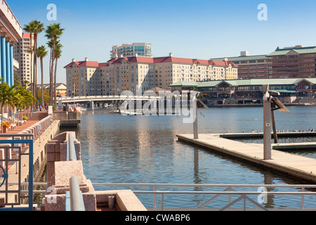 Tampa  Convention Center in Tampa, Florida, USA Stock Photo