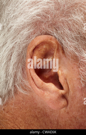 Senior mans ear, close up Stock Photo