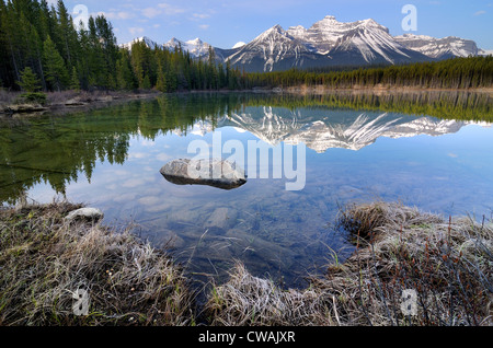 Herbert Lake and Bow Range, Banff National Park, Alberta, Canada Stock Photo