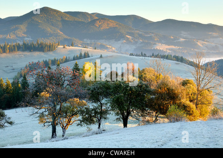 Frosty morning, Krasnik village area, Carpathian Mountains, Ivano-Frankivsk region, Ukraine Stock Photo