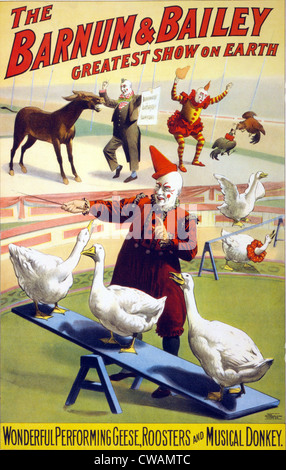 Clowns perform with geese, roosters and musical donkey in Barnum & Bailey circus. Poster, ca. 1900.