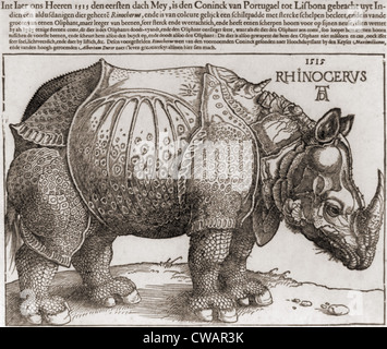THE RHINOCEROS, Woodcut by Albrecht Durer, (1471-1528), drawn from the description of an Indian rhinoceros.  While inaccurate, Stock Photo