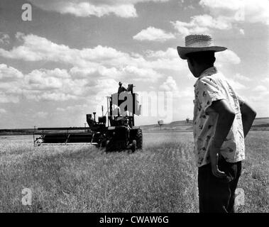 L.B. Selleck stands on a  combine, while his daughter, Sandra takes over the tractor and his son, David, helps out in Kansas. Stock Photo