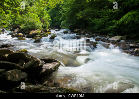 The River Lyn (East) along the path towards Watersmeet near Lynmouth, north Devon, England, UK Stock Photo