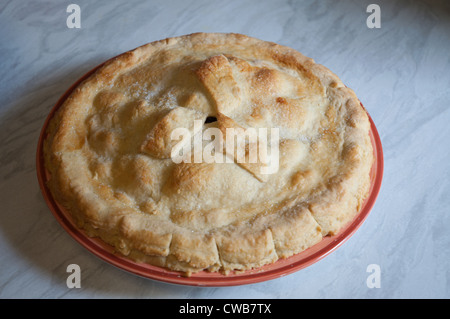 Home baked Blackberry and Apple pie made with home grown fruit, Fresh from oven Stock Photo