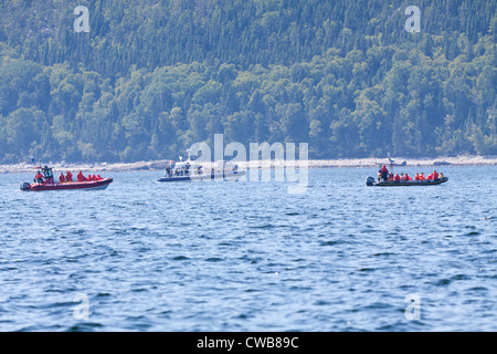 Whale watching on Saint Lawrence seaway in Tadoussac,Quebec,Canada Stock Photo