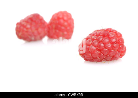 One fresh raspberry on front and two out of focus on background on white with soft shadows. Shallow depth of field. Stock Photo