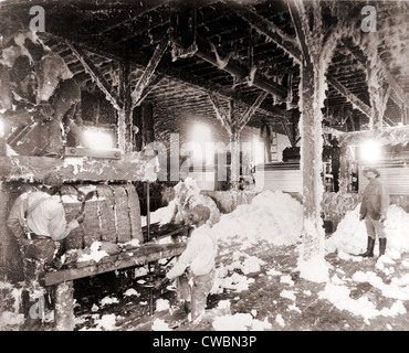 African American men working in a cotton gin at Dahomey, Mississippi, in 1898. Stock Photo