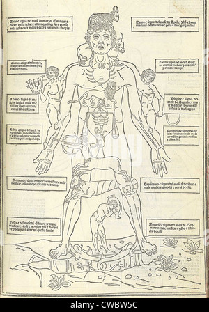 Zodiac Man from illustrating how the human body relates to the zodiac signs. The ancient medical theory held that the four Stock Photo