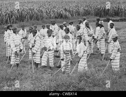 Juvenile convicts at work in the fields in s Southern chain gang. Southern jails made money leasing convicts for forced labor Stock Photo