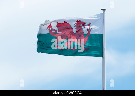Welsh National Flag Stock Photo