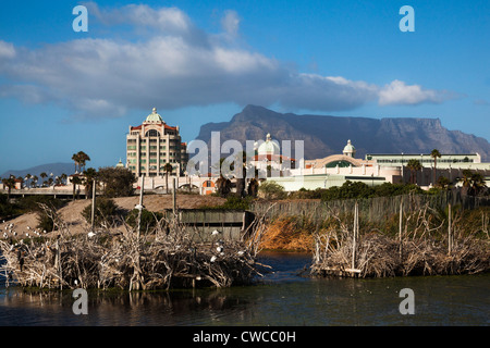 Intaka Island wetland, Century City shopping centre, Cape Town, South Africa, Stock Photo