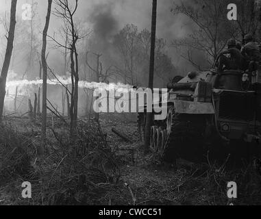 Vietnam War. US Marine flame tanks burn 'No-name Village' during near Binh Son in the Quang Ngai Province. 1969. Stock Photo