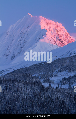 Chugach National Forest, Alaska. Stock Photo