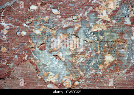 Close-up of red marble in the quarry Carrière de Beauchâteau at Senzeille in the Belgian Ardennes, Belgium Stock Photo