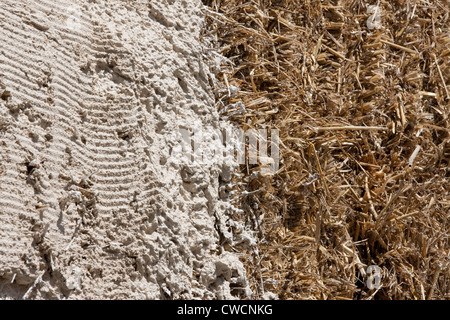 Render being applied to a straw covered building Stock Photo