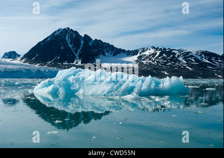 Monaco glacier, Woodfjorden, Spitsbergen, Svalbard, Arctic Stock Photo