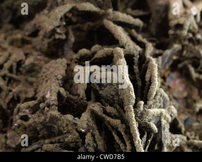 Covellite (covelline) and pyrite; Bor, Serbia Stock Photo