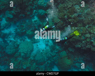 Two Scuba Divers on coral reef at Great Barrier Reef Australia viewed from above Stock Photo