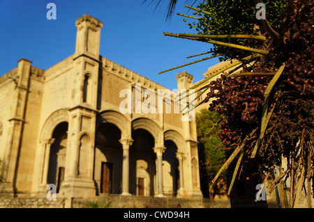 View of a palm with Saint Mary's church of the Chain in background Stock Photo