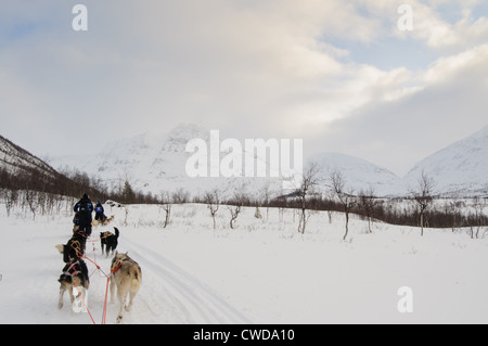 Dog sledding in northern Norway in Tamok Valley near Tromso. Stock Photo