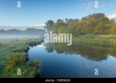 The Marshcourt River (Tributary of the River Test) and Common Marsh (National Trust) near Stockbridge. Hampshire. England. UK. Stock Photo