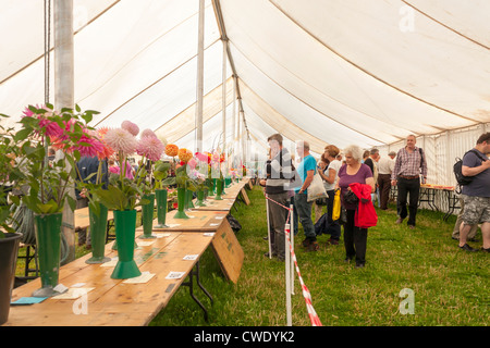 Egton Village agricultural show, near Whitby, North Yorkshire. Stock Photo